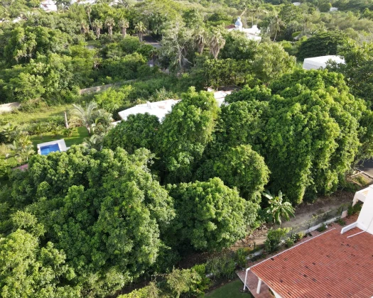 Lote 8 Nuevo Vallarta