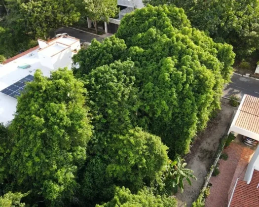 Lote 8 Nuevo Vallarta