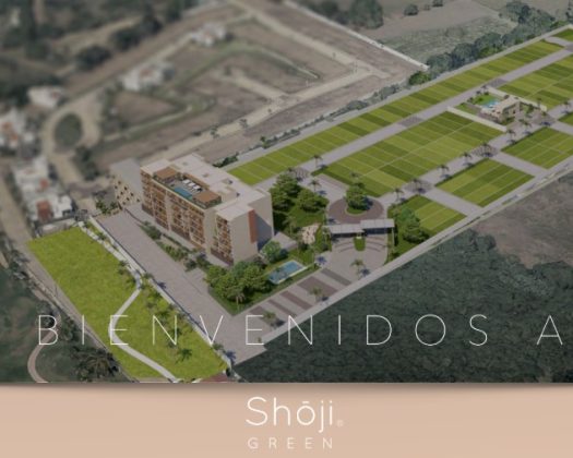 Lote 8 Shoji Green