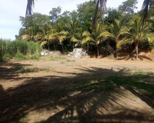 Lote Nueva Galicia 45