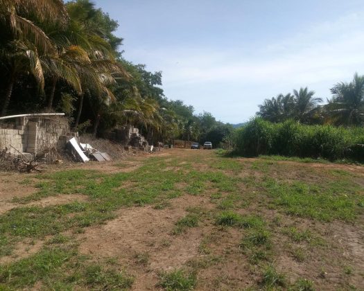 Lote Nueva Galicia 45