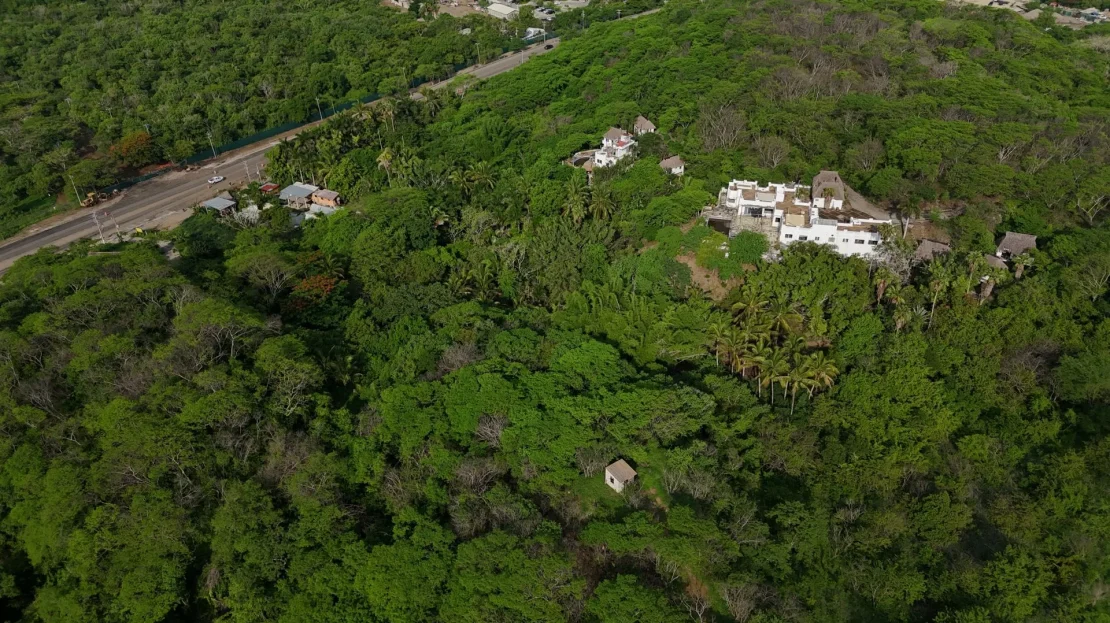 video image